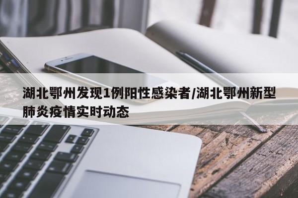 湖北鄂州发现1例阳性感染者/湖北鄂州新型肺炎疫情实时动态